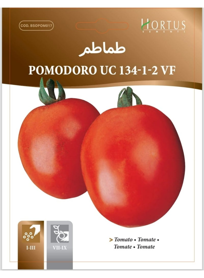 UC 134-1-2 VF Tomato Seeds